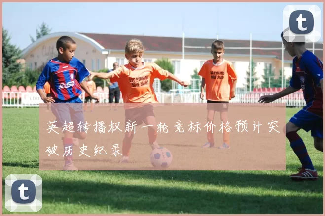 英超转播权新一轮竞标价格预计突破历史纪录