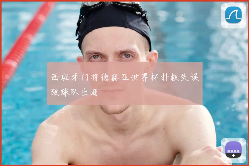 西班牙门将德赫亚世界杯扑救失误致球队出局